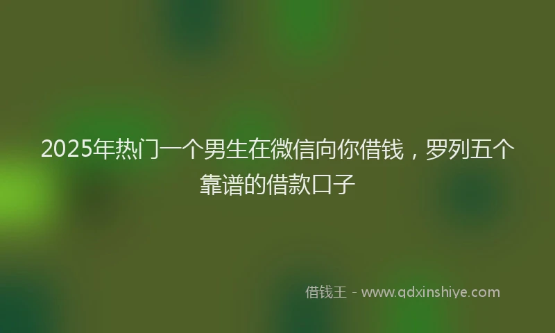 2025年热门一个男生在微信向你借钱，罗列五个靠谱的借款口子
