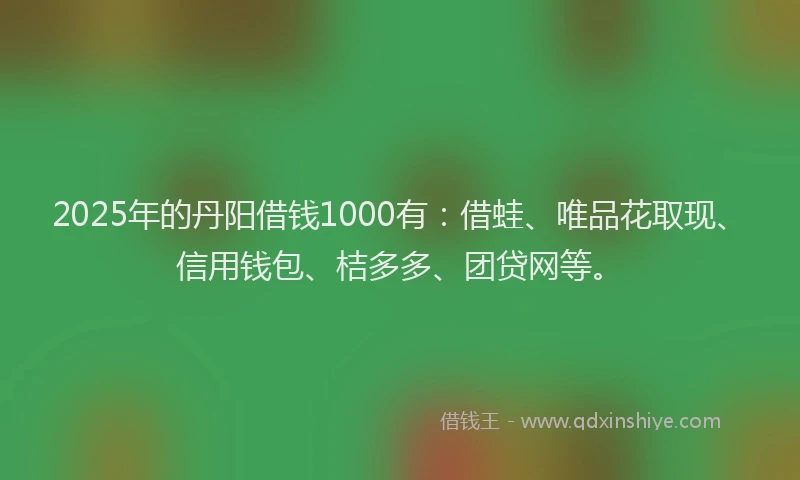2025年的丹阳借钱1000有：借蛙、唯品花取现、信用钱包、桔多多、团贷网等。