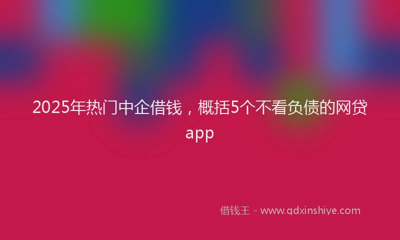 2025年热门中企借钱，概括5个不看负债的网贷app