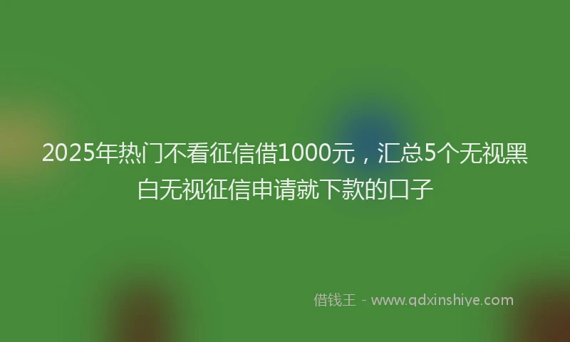 2025年热门不看征信借1000元，汇总5个无视黑白无视征信申请就下款的口子