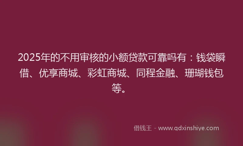 2025年的不用审核的小额贷款可靠吗有：钱袋瞬借、优享商城、彩虹商城、同程金融、珊瑚钱包等。