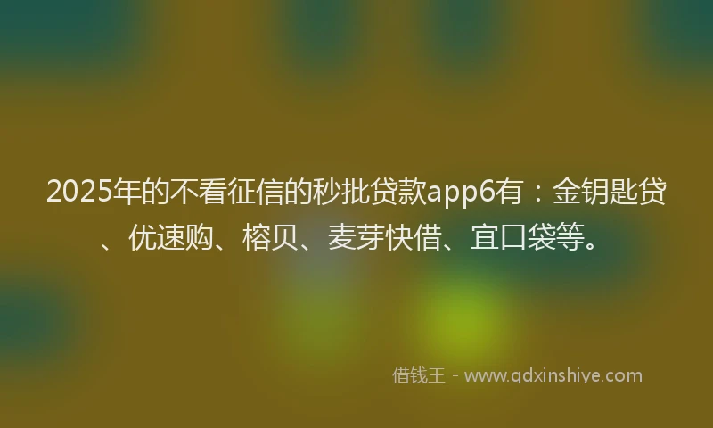 2025年的不看征信的秒批贷款app6有：金钥匙贷、优速购、榕贝、麦芽快借、宜口袋等。