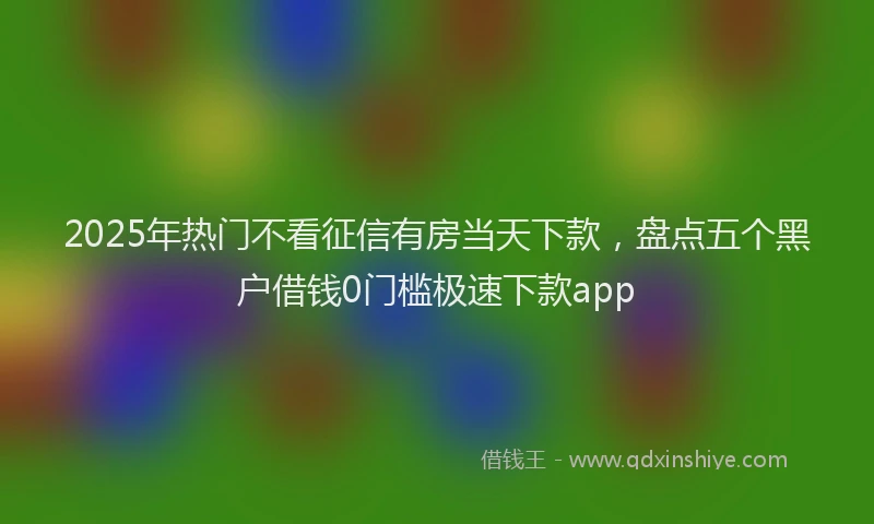 2025年热门不看征信有房当天下款，盘点五个黑户借钱0门槛极速下款app