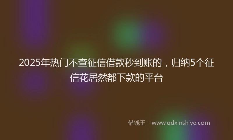 2025年热门不查征信借款秒到账的，归纳5个征信花居然都下款的平台