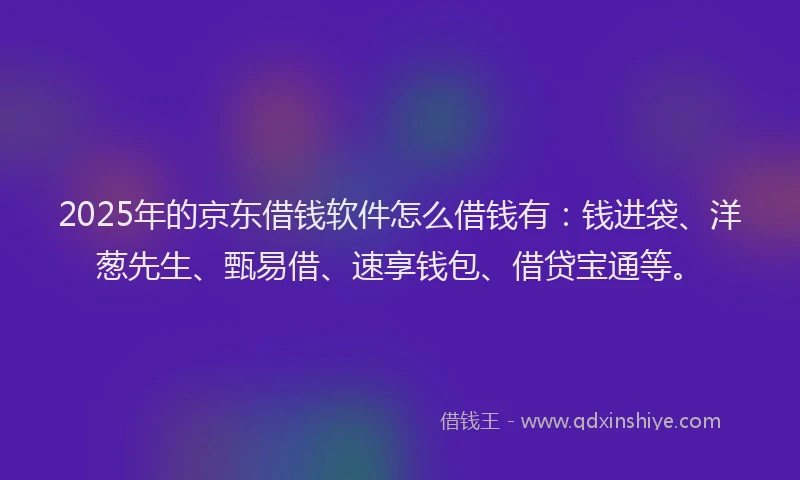 2025年的京东借钱软件怎么借钱有：钱进袋、洋葱先生、甄易借、速享钱包、借贷宝通等。