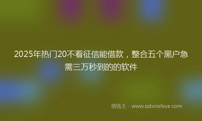 2025年热门20不看征信能借款，整合五个黑户急需三万秒到的的软件