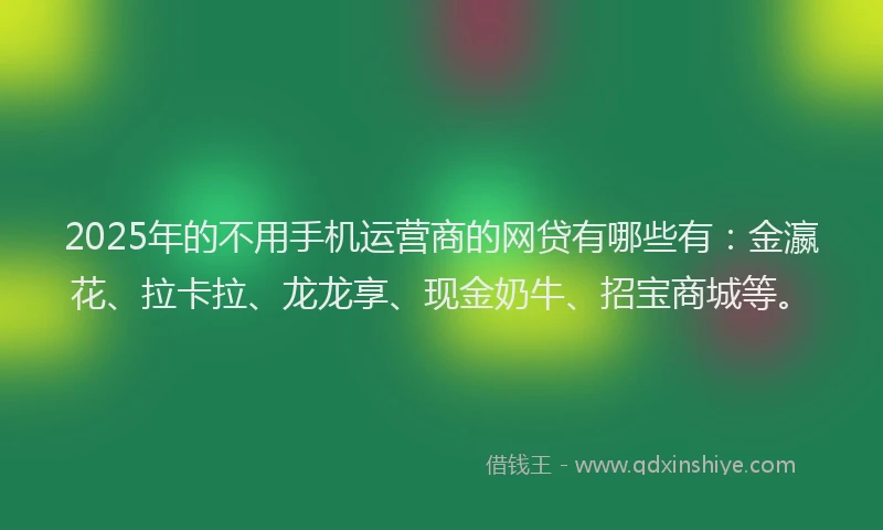 2025年的不用手机运营商的网贷有哪些有：金瀛花、拉卡拉、龙龙享、现金奶牛、招宝商城等。