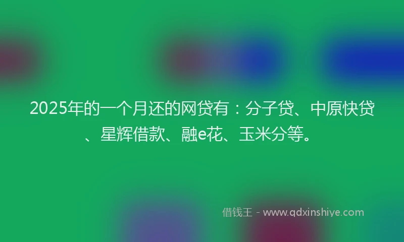 2025年的一个月还的网贷有：分子贷、中原快贷、星辉借款、融e花、玉米分等。