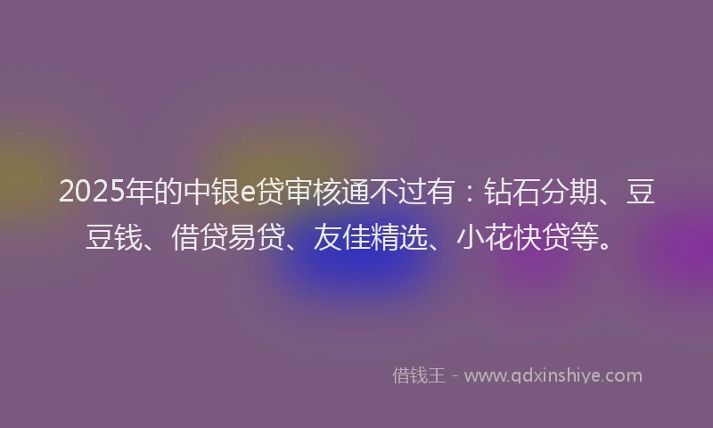 2025年的中银e贷审核通不过有：钻石分期、豆豆钱、借贷易贷、友佳精选、小花快贷等。