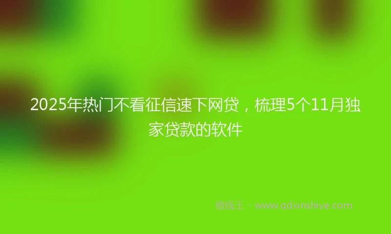 2025年热门不看征信速下网贷，梳理5个11月独家贷款的软件
