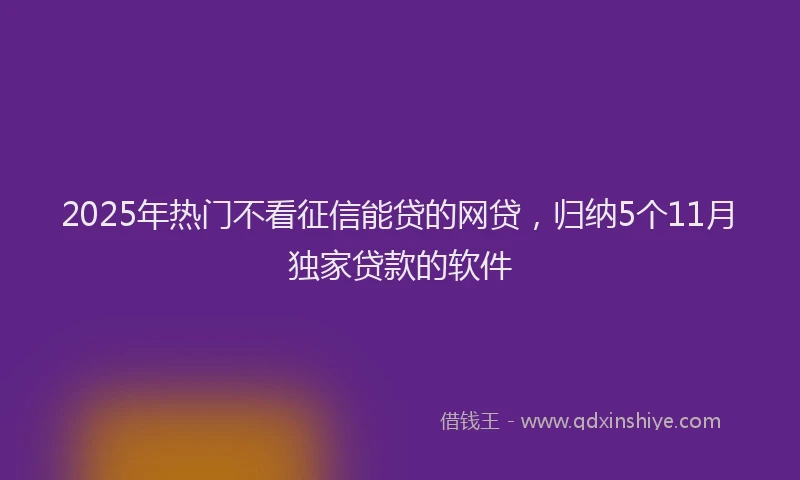 2025年热门不看征信能贷的网贷，归纳5个11月独家贷款的软件