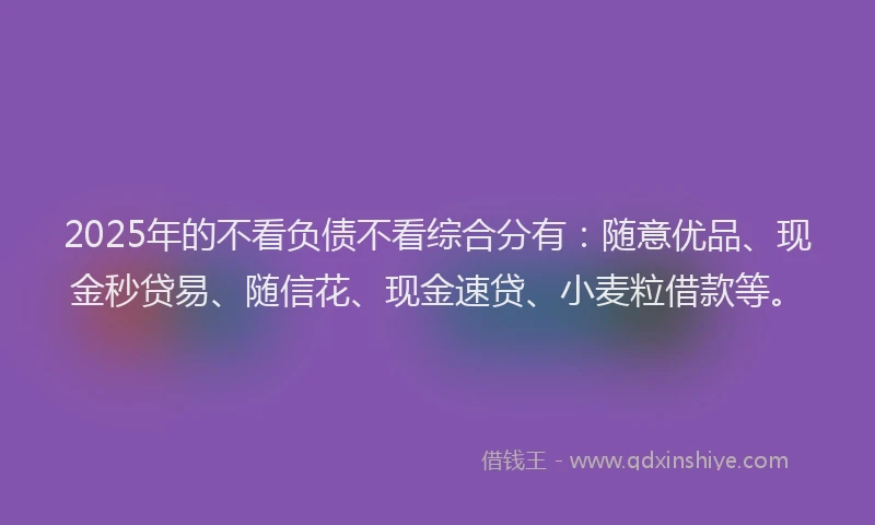 2025年的不看负债不看综合分有：随意优品、现金秒贷易、随信花、现金速贷、小麦粒借款等。