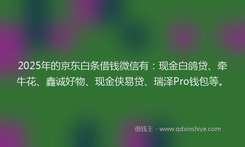 2025年的京东白条借钱微信有：现金白鸽贷、牵牛花、鑫诚好物、现金侠易贷、瑞泽Pro钱包等。