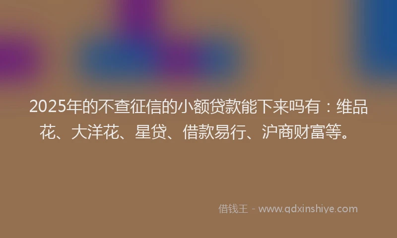 2025年的不查征信的小额贷款能下来吗有：维品花、大洋花、星贷、借款易行、沪商财富等。