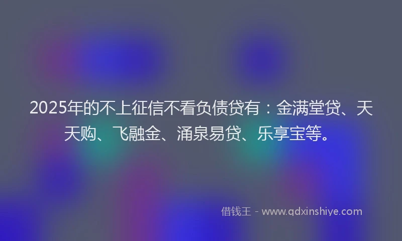 2025年的不上征信不看负债贷有：金满堂贷、天天购、飞融金、涌泉易贷、乐享宝等。