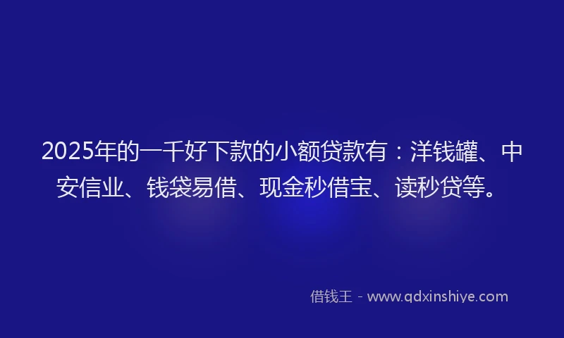 2025年的一千好下款的小额贷款有：洋钱罐、中安信业、钱袋易借、现金秒借宝、读秒贷等。