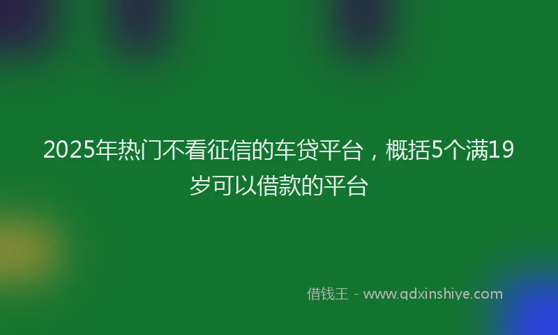 2025年热门不看征信的车贷平台，概括5个满19岁可以借款的平台