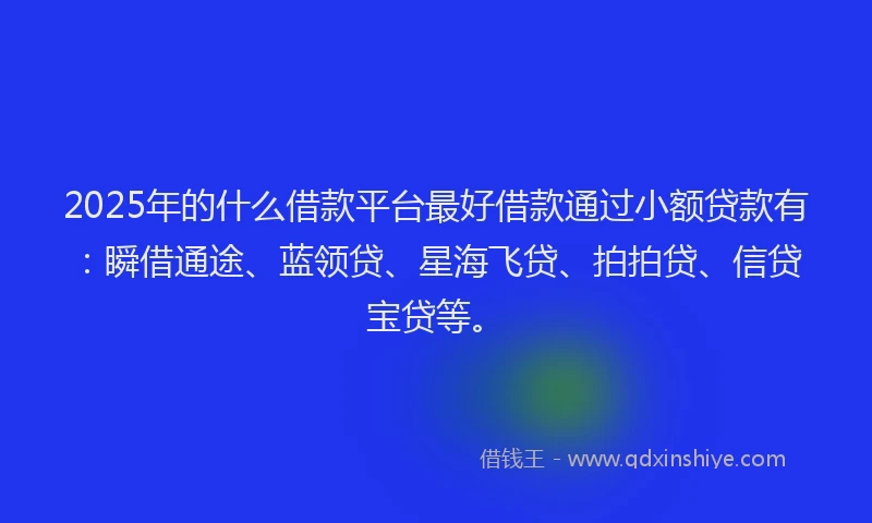 2025年的什么借款平台最好借款通过小额贷款有：瞬借通途、蓝领贷、星海飞贷、拍拍贷、信贷宝贷等。