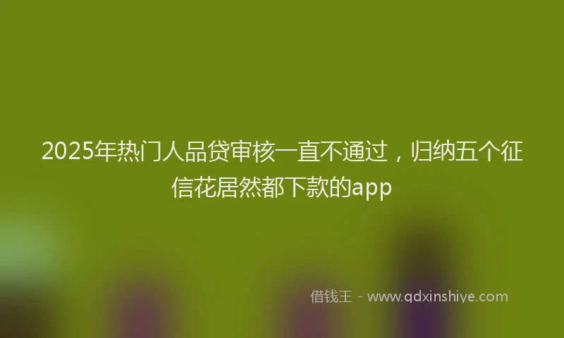 2025年热门人品贷审核一直不通过，归纳五个征信花居然都下款的app