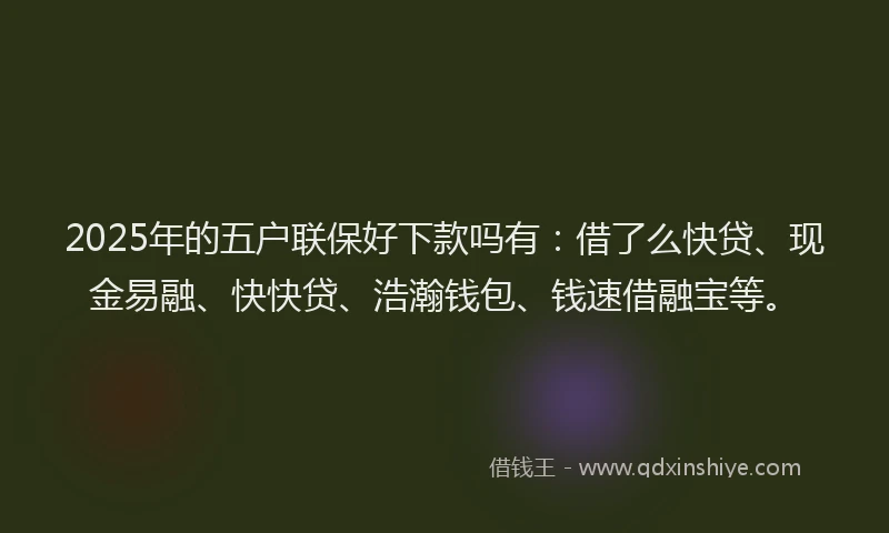 2025年的五户联保好下款吗有：借了么快贷、现金易融、快快贷、浩瀚钱包、钱速借融宝等。