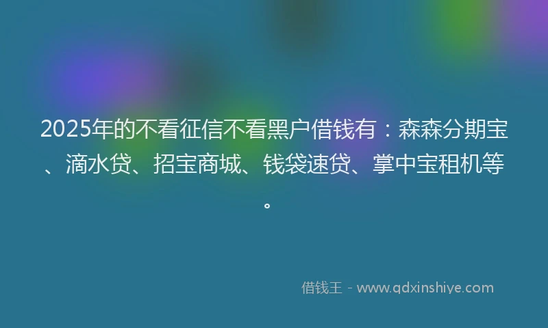 2025年的不看征信不看黑户借钱有：森森分期宝、滴水贷、招宝商城、钱袋速贷、掌中宝租机等。