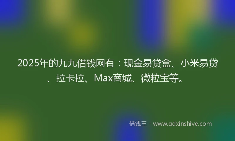 2025年的九九借钱网有：现金易贷盒、小米易贷、拉卡拉、Max商城、微粒宝等。