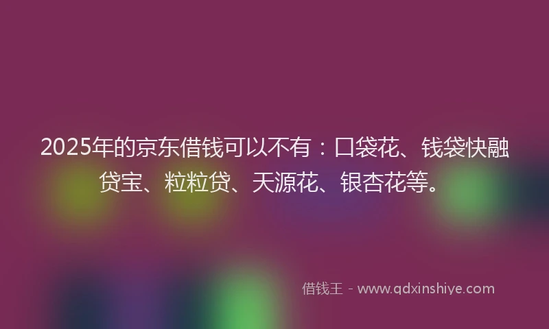 2025年的京东借钱可以不有：口袋花、钱袋快融贷宝、粒粒贷、天源花、银杏花等。