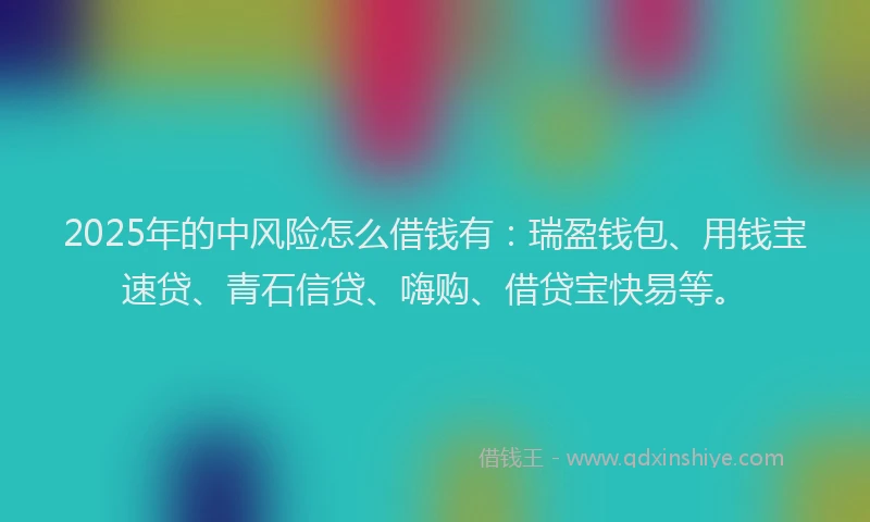 2025年的中风险怎么借钱有：瑞盈钱包、用钱宝速贷、青石信贷、嗨购、借贷宝快易等。
