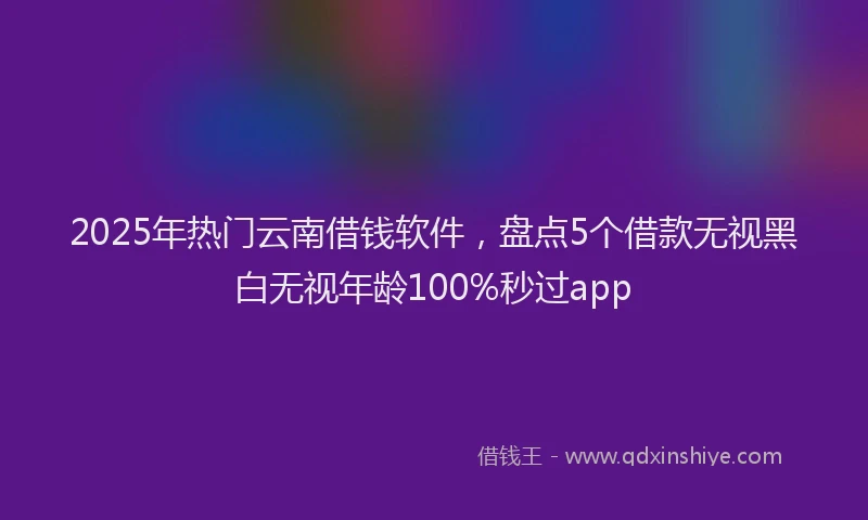 2025年热门云南借钱软件，盘点5个借款无视黑白无视年龄100%秒过app