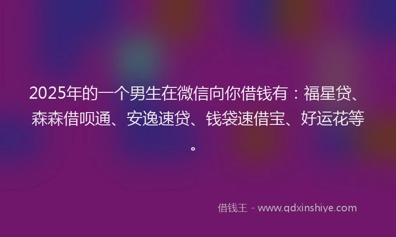 2025年的一个男生在微信向你借钱有：福星贷、森森借呗通、安逸速贷、钱袋速借宝、好运花等。