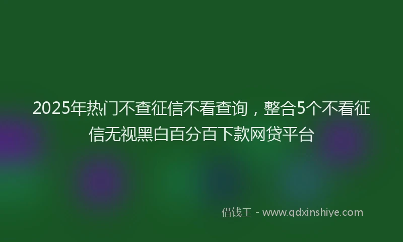 2025年热门不查征信不看查询，整合5个不看征信无视黑白百分百下款网贷平台