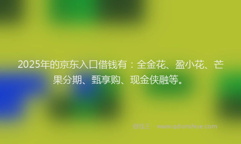 2025年的京东入口借钱有：全金花、盈小花、芒果分期、甄享购、现金侠融等。