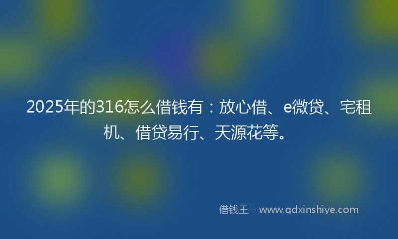 2025年的316怎么借钱有：放心借、e微贷、宅租机、借贷易行、天源花等。
