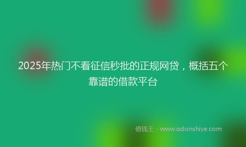 2025年热门不看征信秒批的正规网贷，概括五个靠谱的借款平台
