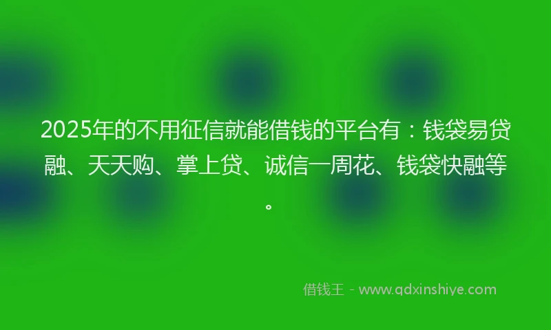 2025年的不用征信就能借钱的平台有：钱袋易贷融、天天购、掌上贷、诚信一周花、钱袋快融等。