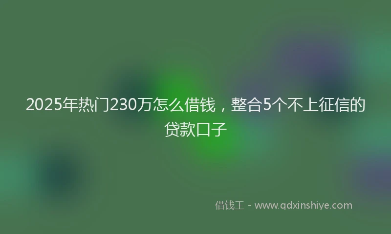 2025年热门230万怎么借钱，整合5个不上征信的贷款口子