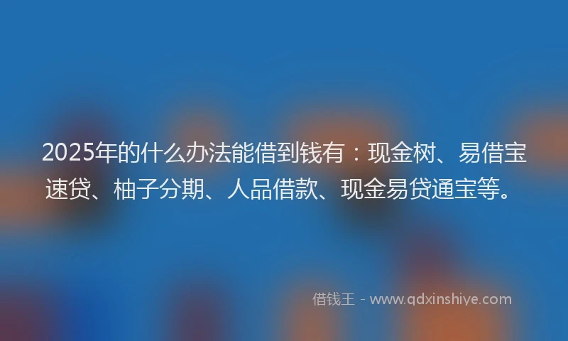2025年的什么办法能借到钱有：现金树、易借宝速贷、柚子分期、人品借款、现金易贷通宝等。