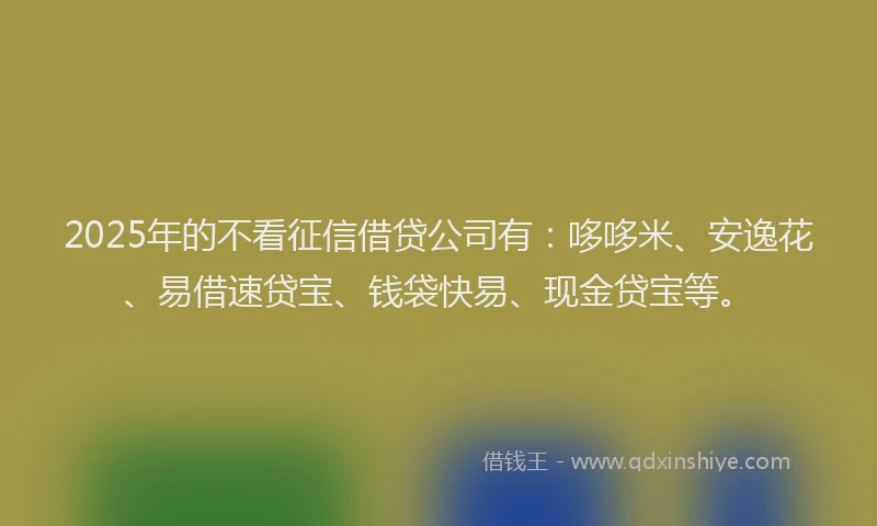 2025年的不看征信借贷公司有：哆哆米、安逸花、易借速贷宝、钱袋快易、现金贷宝等。