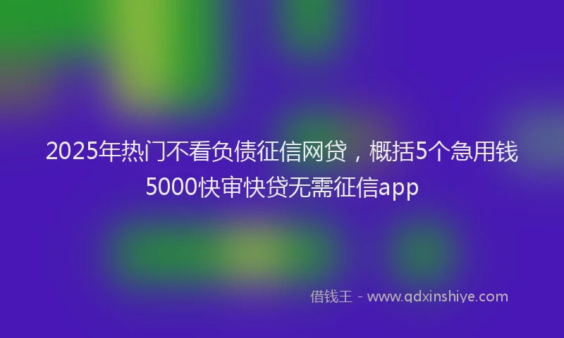 2025年热门不看负债征信网贷，概括5个急用钱5000快审快贷无需征信app