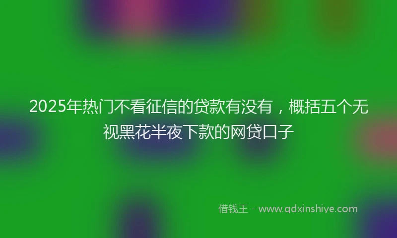2025年热门不看征信的贷款有没有，概括五个无视黑花半夜下款的网贷口子