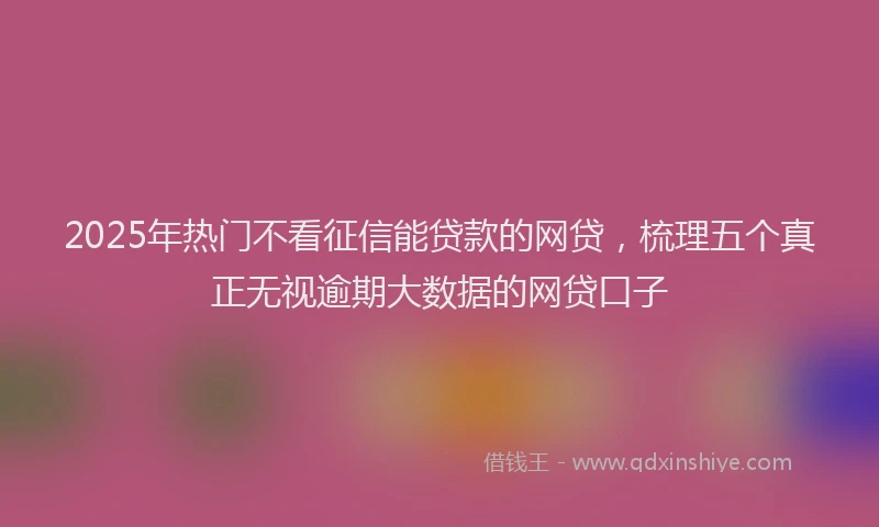 2025年热门不看征信能贷款的网贷，梳理五个真正无视逾期大数据的网贷口子