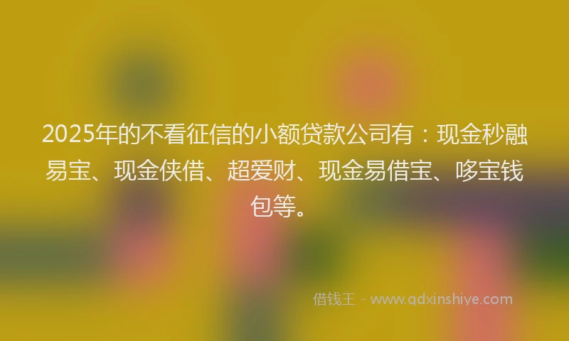 2025年的不看征信的小额贷款公司有：现金秒融易宝、现金侠借、超爱财、现金易借宝、哆宝钱包等。