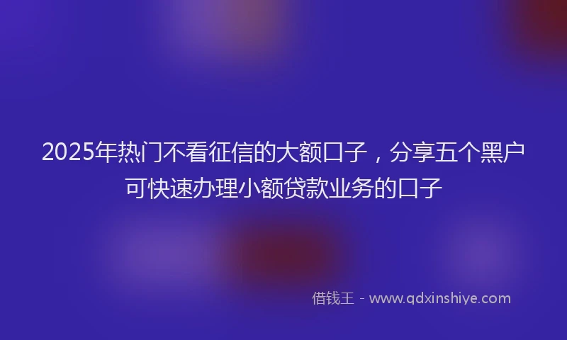 2025年热门不看征信的大额口子，分享五个黑户可快速办理小额贷款业务的口子