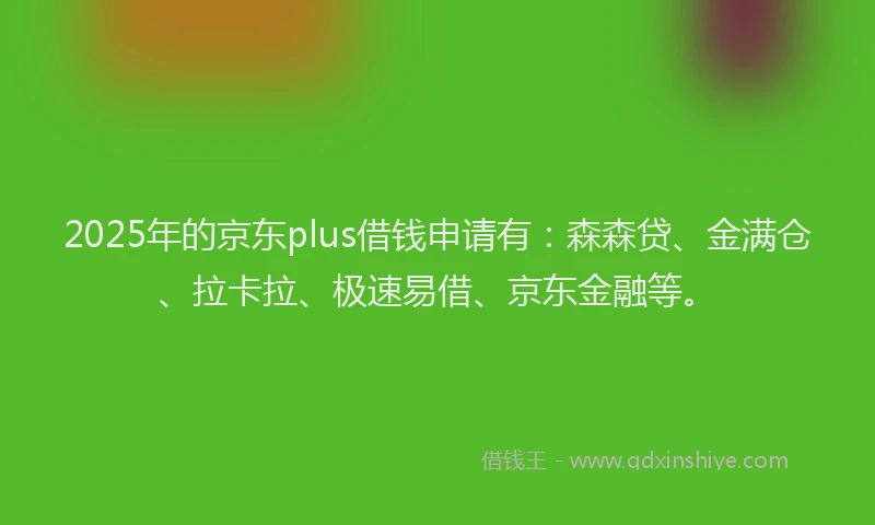 2025年的京东plus借钱申请有：森森贷、金满仓、拉卡拉、极速易借、京东金融等。