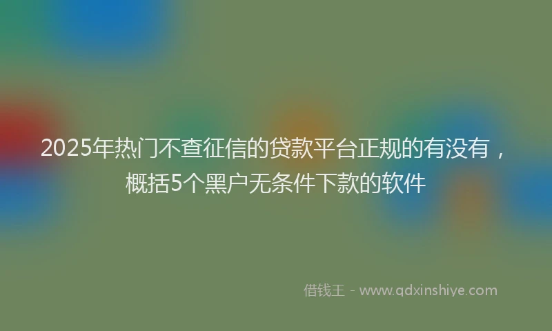 2025年热门不查征信的贷款平台正规的有没有，概括5个黑户无条件下款的软件