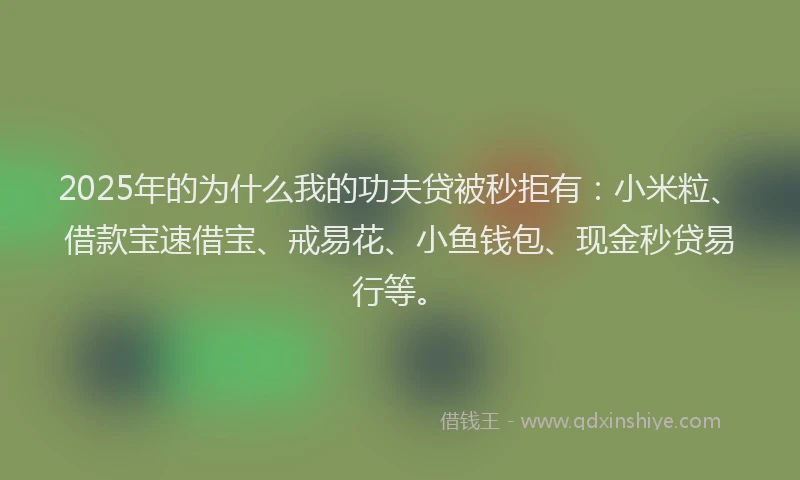 2025年的为什么我的功夫贷被秒拒有：小米粒、借款宝速借宝、戒易花、小鱼钱包、现金秒贷易行等。