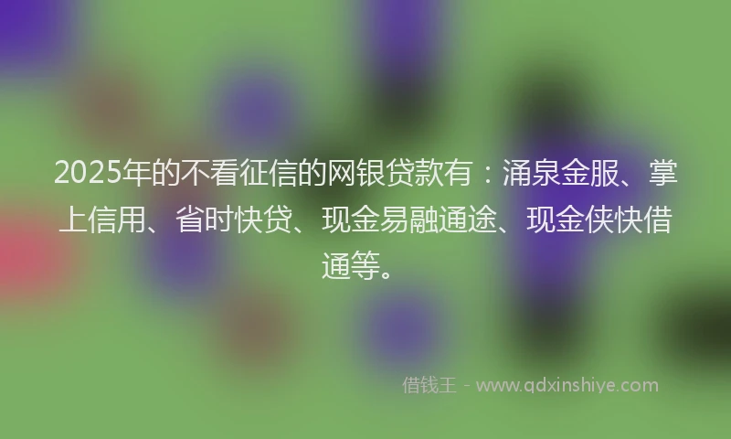2025年的不看征信的网银贷款有：涌泉金服、掌上信用、省时快贷、现金易融通途、现金侠快借通等。