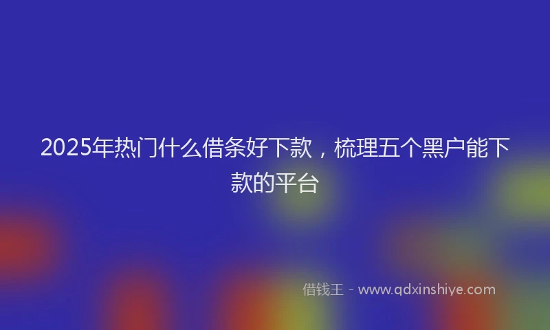 2025年热门什么借条好下款，梳理五个黑户能下款的平台