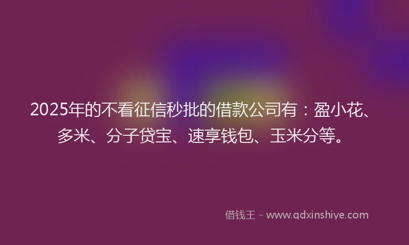2025年的不看征信秒批的借款公司有：盈小花、多米、分子贷宝、速享钱包、玉米分等。