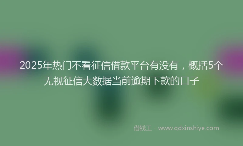 2025年热门不看征信借款平台有没有，概括5个无视征信大数据当前逾期下款的口子